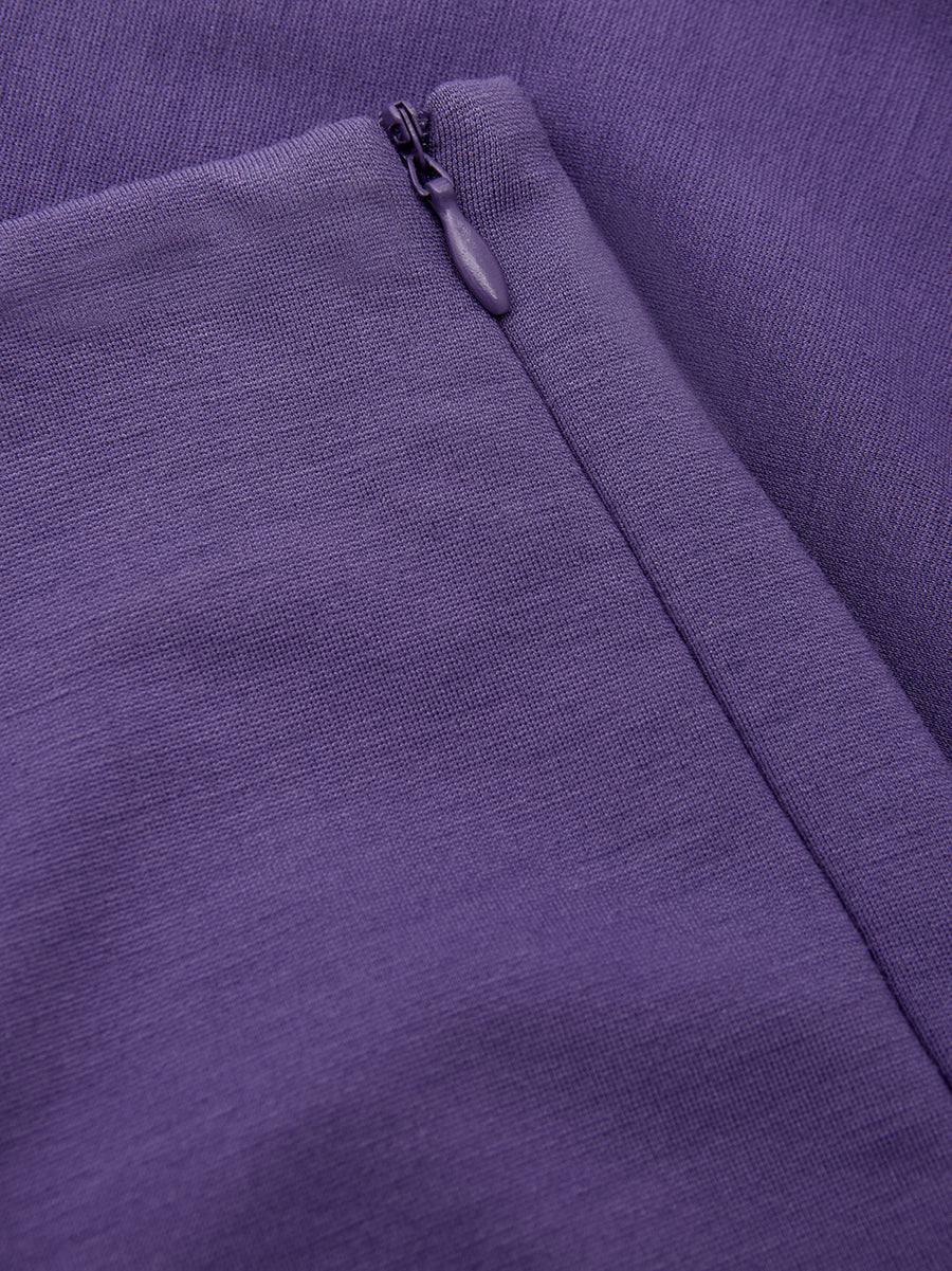 Elegant Purple Viscose Jodhpurs Pants