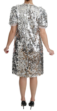 Thumbnail for Elegant Silver A-Line Dress with Crystal Accents