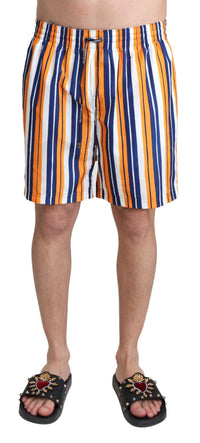 Thumbnail for Multicolor Striped Swim Shorts Trunks