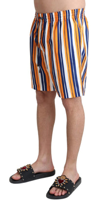 Thumbnail for Multicolor Striped Swim Shorts Trunks