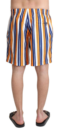 Thumbnail for Multicolor Striped Swim Shorts Trunks