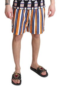 Thumbnail for Multicolor Striped Swim Shorts Trunks