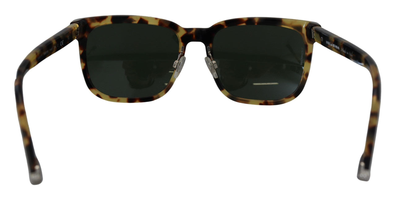 Chic Wayfarer Sunglasses in Havana