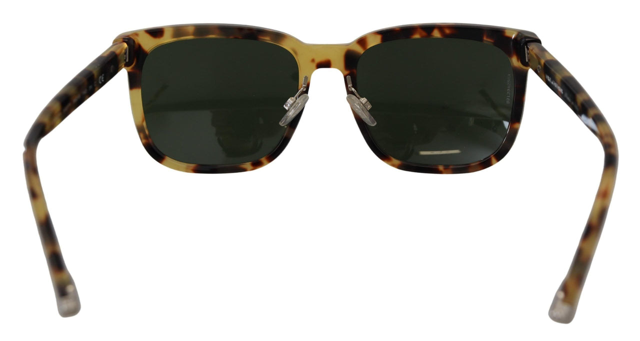 Elegant Wayfarer Havana Sunglasses