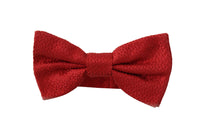Thumbnail for Elegant Red Silk Bow Tie